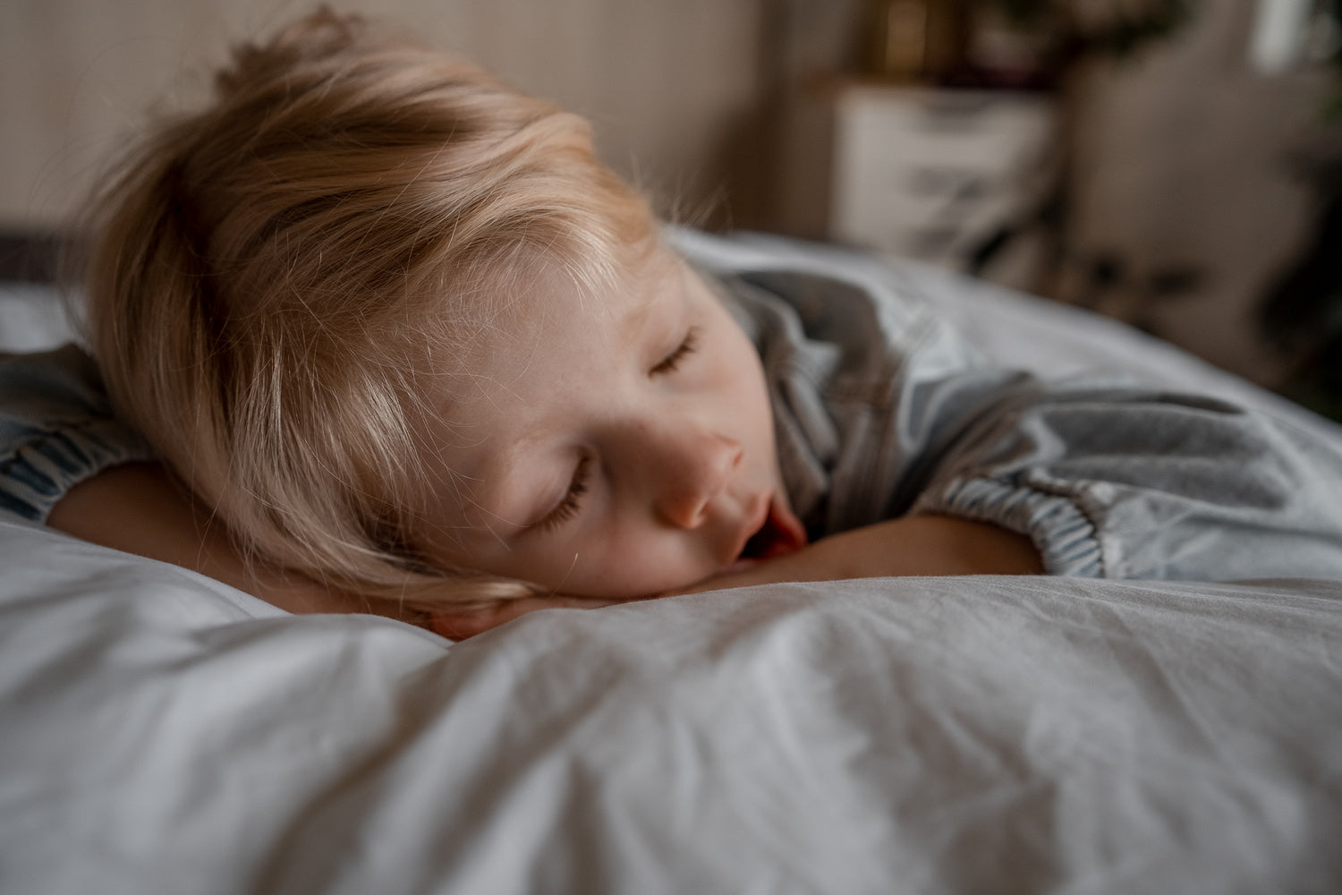Wisewool™ Pillow Duvet